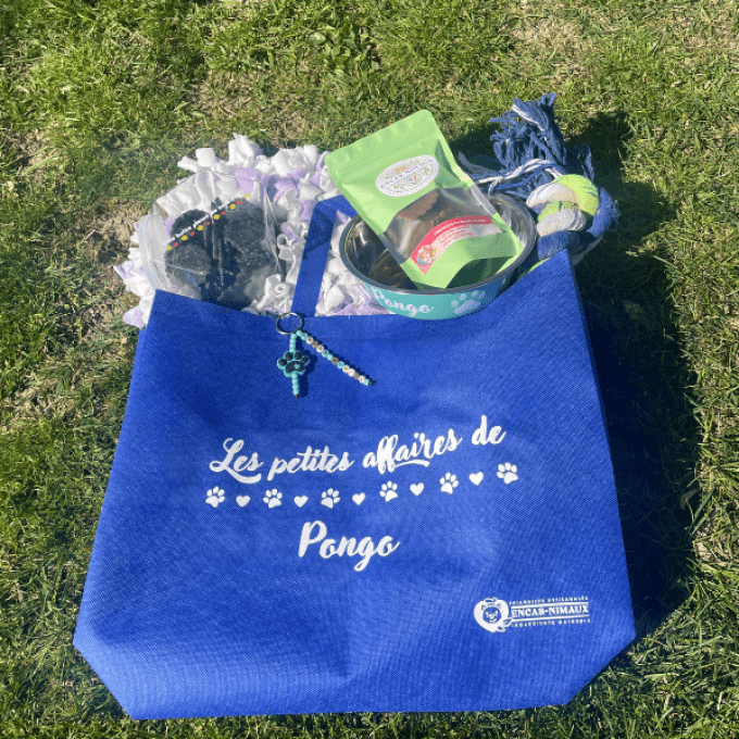 Tote bag personnalisable 