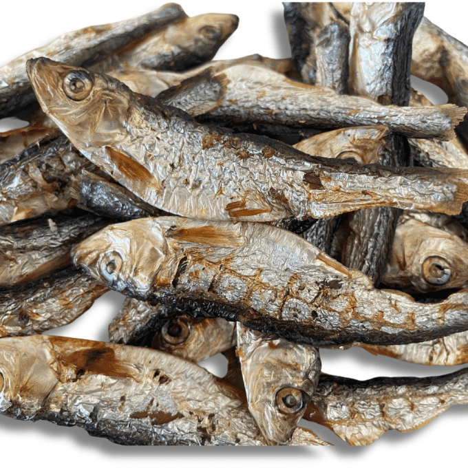 POISSONS SPRATS