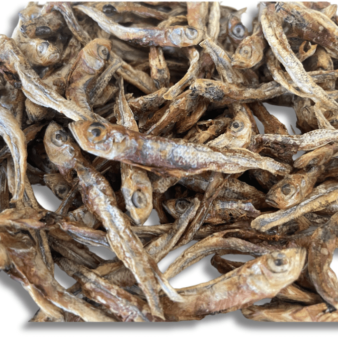 POISSONS JOELS 